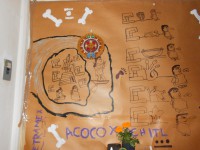 /album/caminos-de-acocoxochitl/a10533300-987951671219256-4229148363715986570-o-jpg/