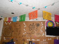 /album/caminos-de-acocoxochitl/a10655217-987950887886001-5145053761594102387-o-jpg/