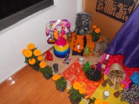 /album/caminos-de-acocoxochitl/a10700385-987951091219314-2170379261522804404-o-jpg/