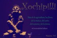 /album/foto-galeria-de-acocoxochitl/xochipillireal-jpg/